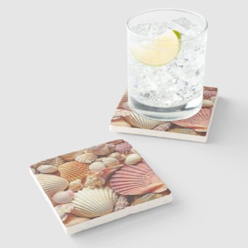 Collection Of Seashells Scallops Clams And Conch Stone Coaster by beachcafe at Zazzle