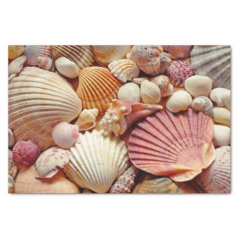 Collection Of Seashells Scallops Clams And Conch Tissue Paper by beachcafe at Zazzle
