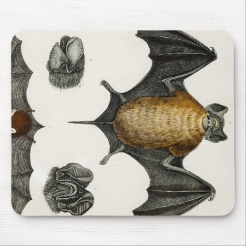 Collection of various Bats Mouse Pad