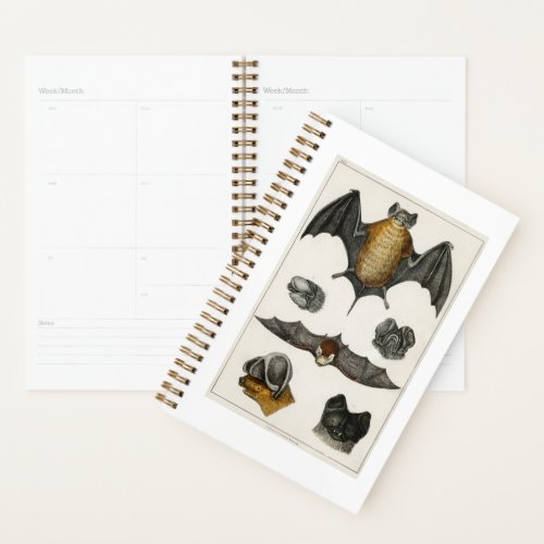 Collection of various Bats Planner