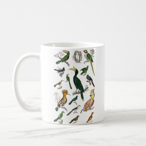 Collection of various birds  coffee mug