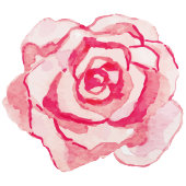 Pink Watercolor Rose | Wedding Menu
