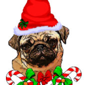 Pug Lovers Christmas Gifts
