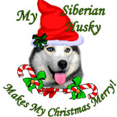 Siberian Husky Christmas Gifts