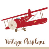 Vintage Airplane Boarding Pass Ticket Birthday Invitation