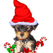 Yorkshire Terrier Christmas Gifts