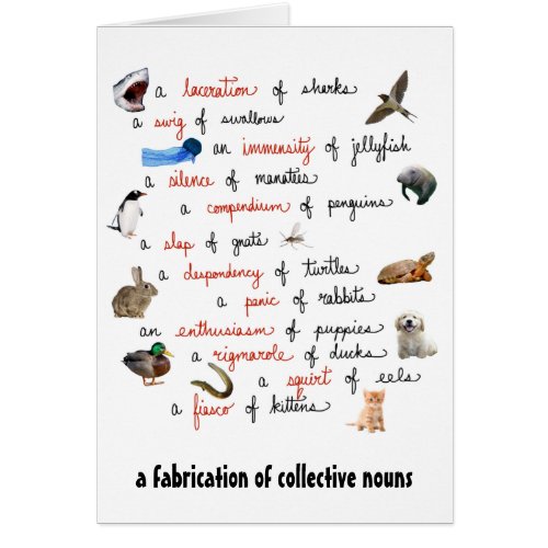 Collective Nouns cards