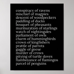 Collective Nouns of Birds Black and White Poster