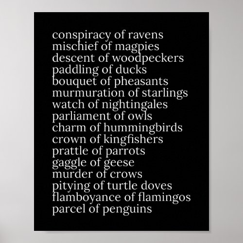 Collective Nouns of Birds Black and White Poster