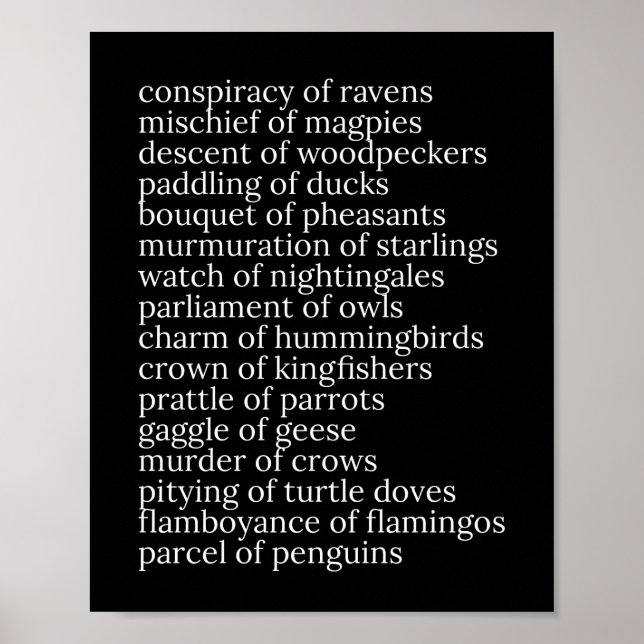 Collective Nouns of Birds Black and White Poster (Front)