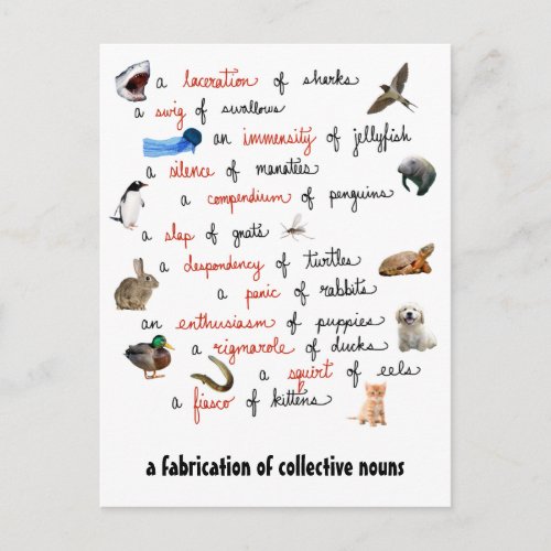 Collective Nouns postcards
