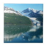 College Fjord I Beautiful Alaska Photography Tile