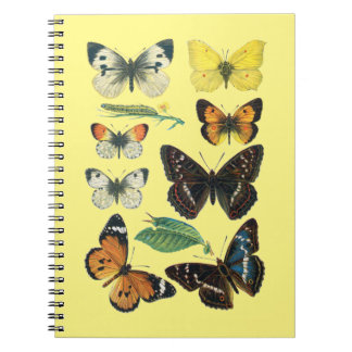 College ruled butterfly notebook