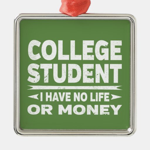 College Student I Have No Life Or No Money Metal Ornament