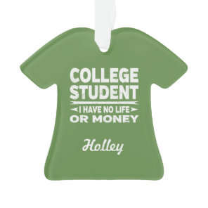 College Student No Life or Money Ornament