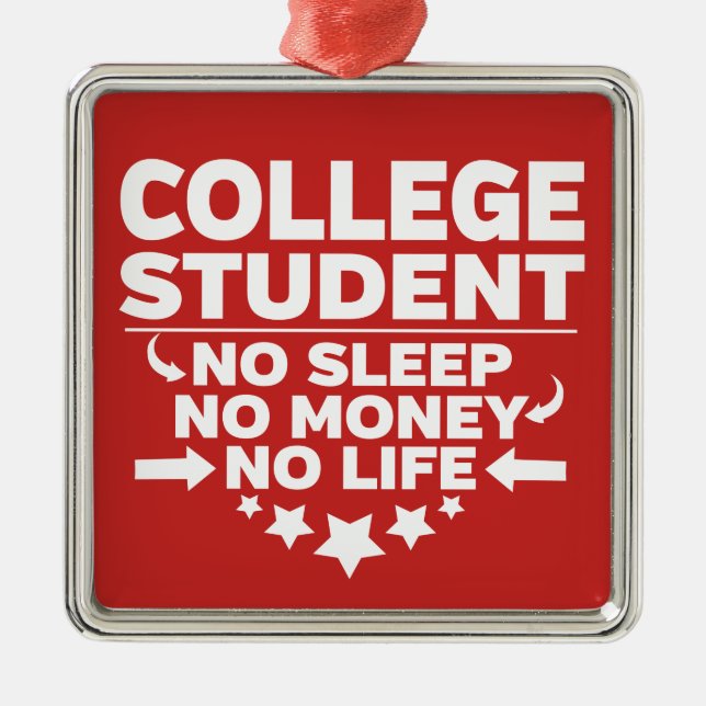 College Student No Sleep No Money No Life Metal Ornament (Front)