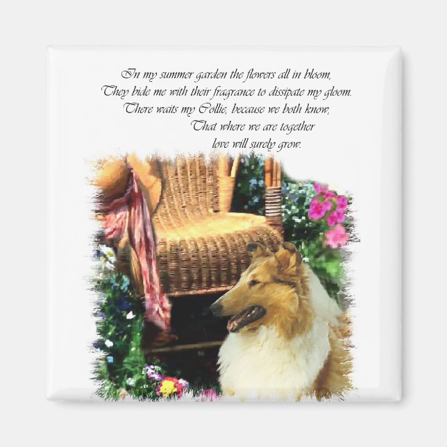 Collie Art Gifts Rough Sable Magnet (Front)