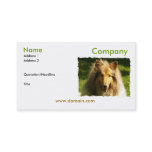 Collie Business Card
