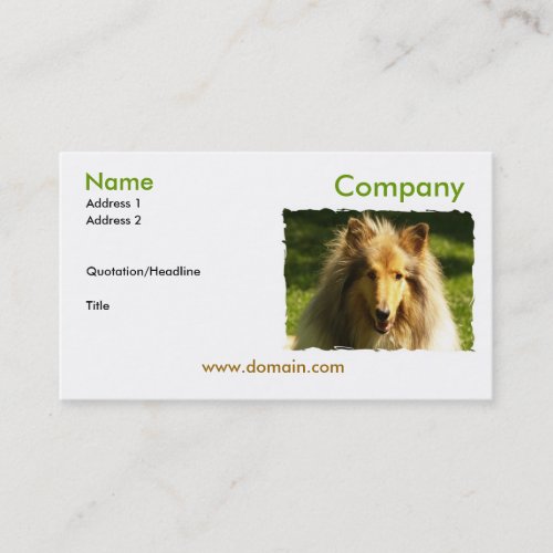 Collie Business Card