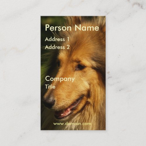 Collie Business Card