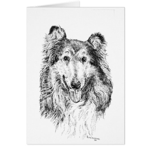 Collie Cards (Front)