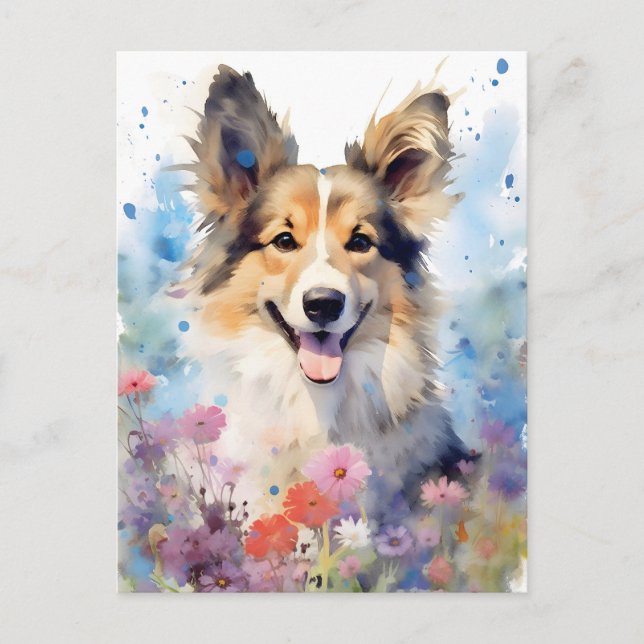 Collie colorful watercolor artwork postcard (Front)
