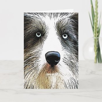Collie Dog Birthday Card by PawsForaMoment at Zazzle