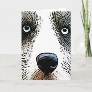 Collie Dog Birthday Card (close Up) by PawsForaMoment at Zazzle