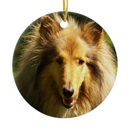 Collie Dog Breed Ornament