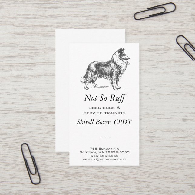 Collie Dog Business Card (Front/Back In Situ)