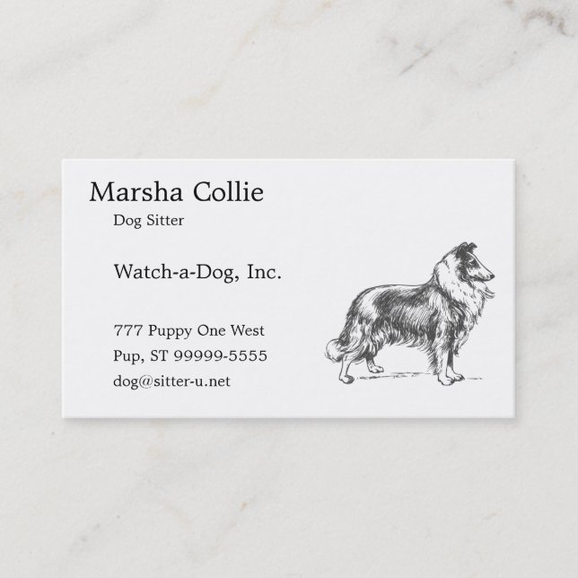 Collie Dog Business Card (Front)