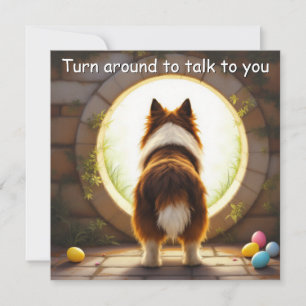 Collie dog - Easter Holiday Card