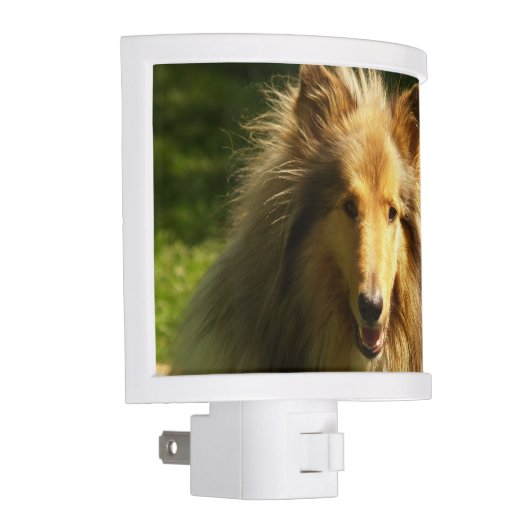 Collie Dog Night Light (Right)