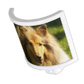 Collie Dog Night Light (Angled)