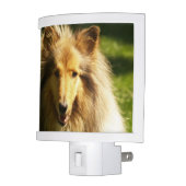 Collie Dog Night Light (Left)