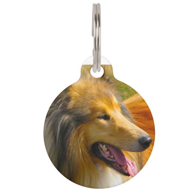 Collie Dog. Pet ID Tag (Front)