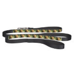 Collie Dog Pet Leash