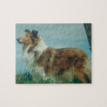 Collie Dog Puzzle by walkandbark at Zazzle