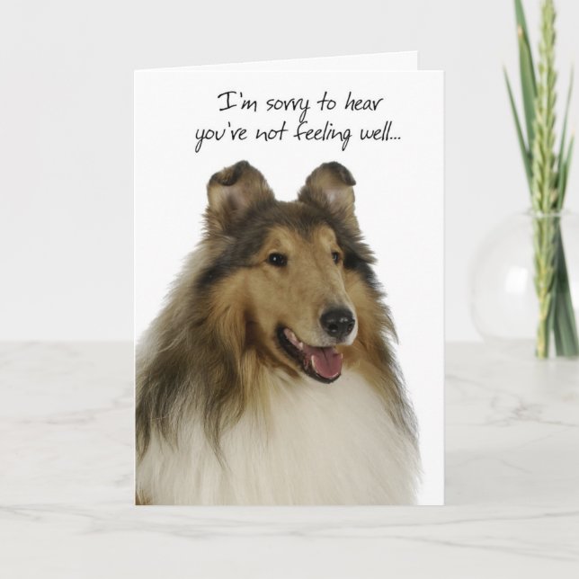 Collie Get Well Card (Front)