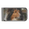 Collie
