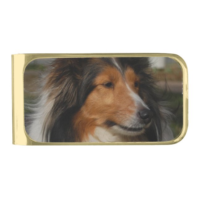 Collie Gold Finish Money Clip (Front)