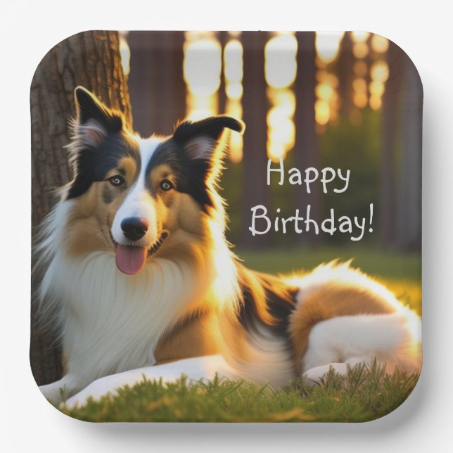 Collie Happy Birthday Paper Plates (Front)