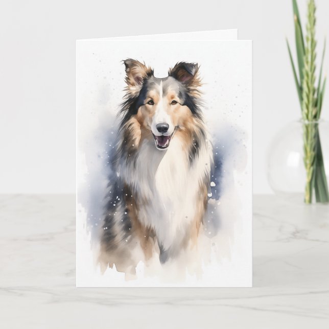 Collie Holiday (Front)