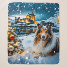 Collie Holiday