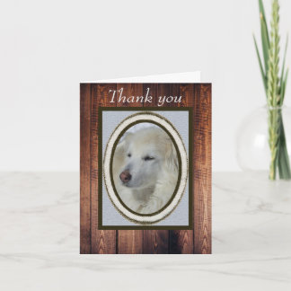 Collie/Husky Photo & Wood Thank You Blank Card