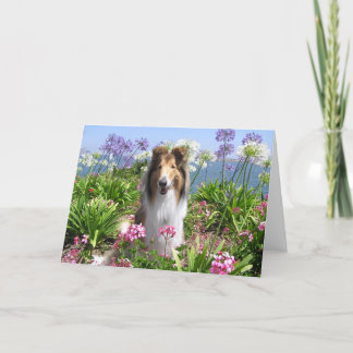 Collie in Flowers Card