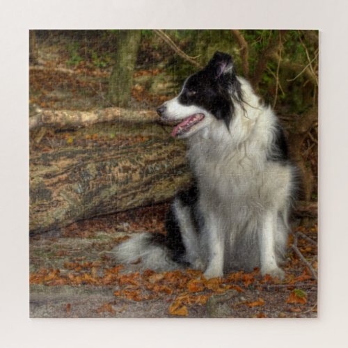 Collie in the Forest 676 Piece Jigsaw Puzzle