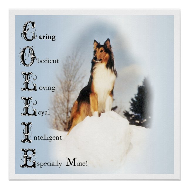 Collie Is... Rough Collie Art Poster (Front)