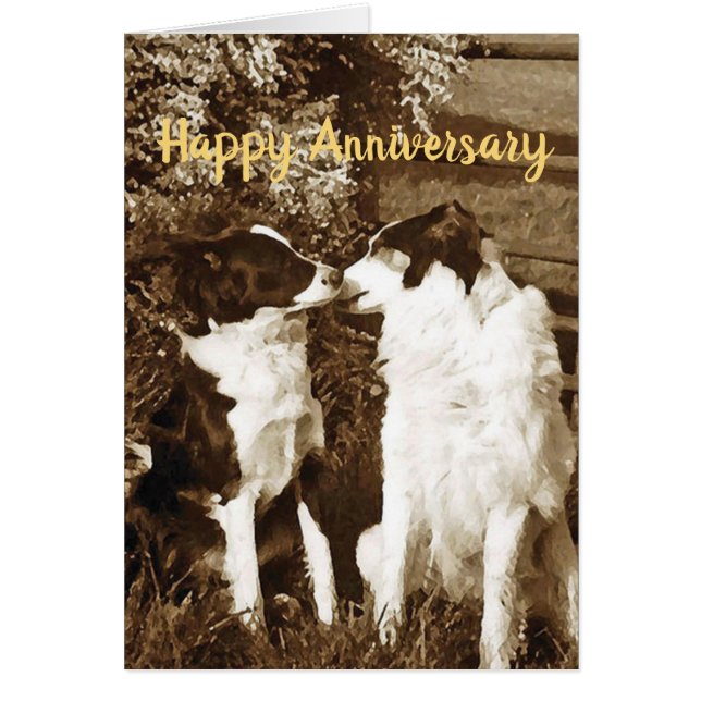 Collie kiss Anniversary card (Front)
