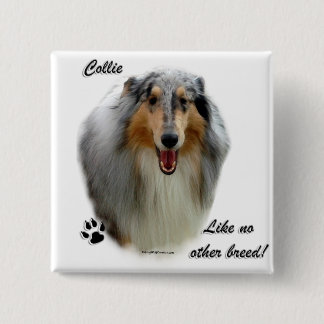 Collie Like No Other Breed Button